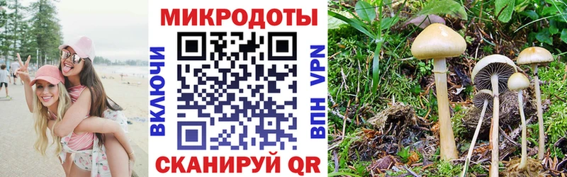 как найти наркотики Олонец Галлюциногенные грибы MAGIC MUSHROOMS